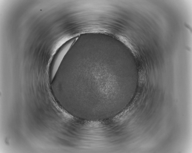 X0000097291071200802221307
