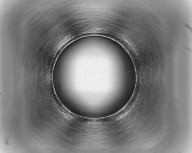 X0000097291073200802221307