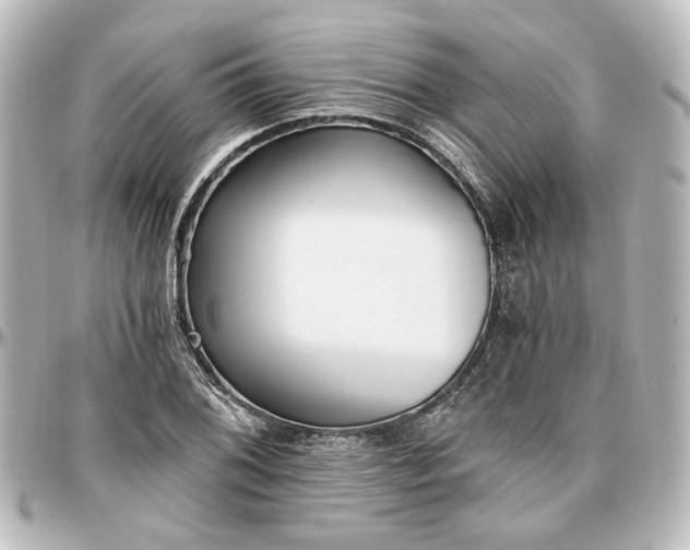 X0000097291076200802221307