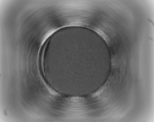 X0000097291077200802221307