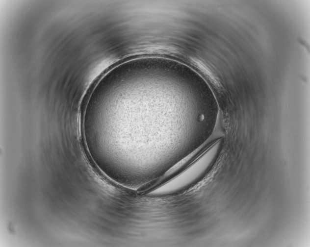 X0000097291079200802221306