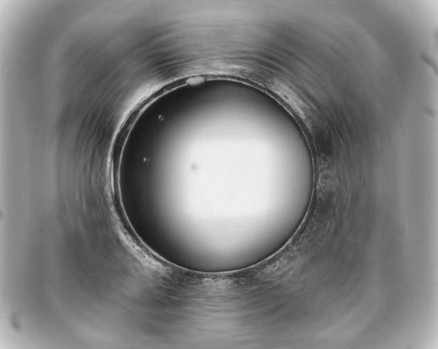 X0000097291080200802221306