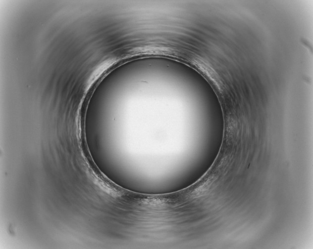 X0000097291082200802221306