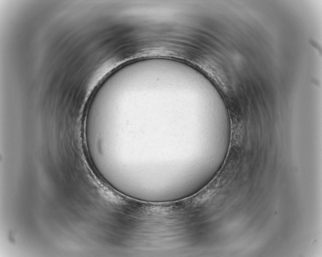 X0000097291086200802221306