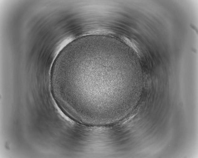 X0000097291087200802221306