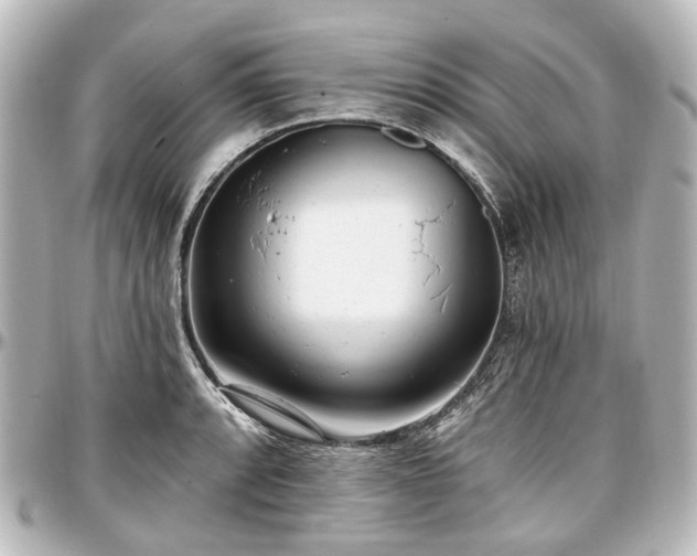 X0000097291088200802221306