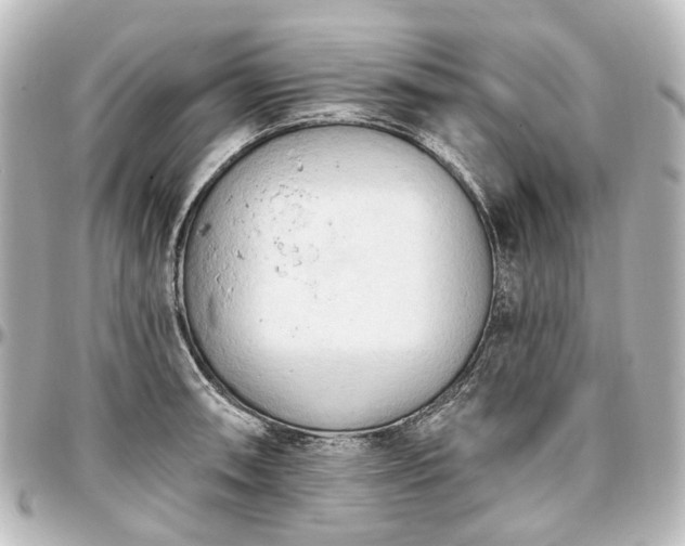 X0000097291090200802221306