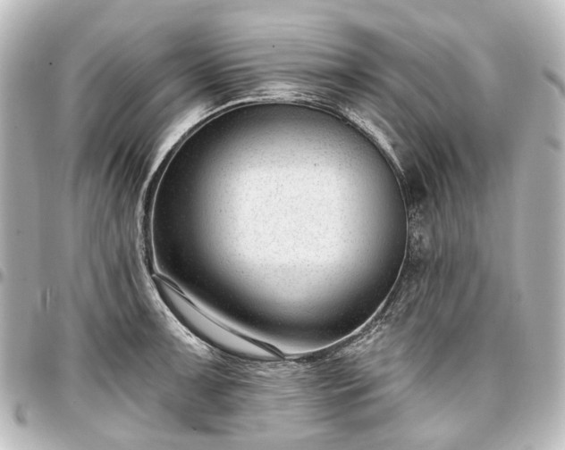X0000097291091200802221306