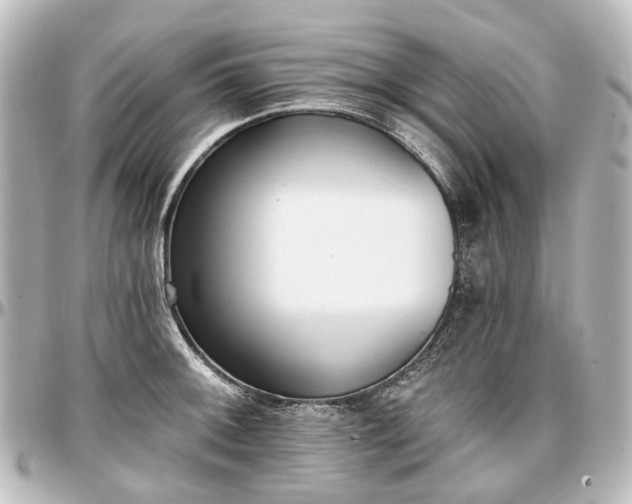 X0000097291092200802221306
