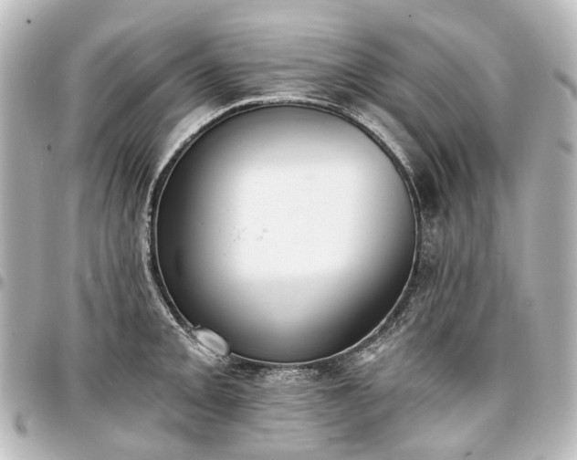 X0000097291093200802221306