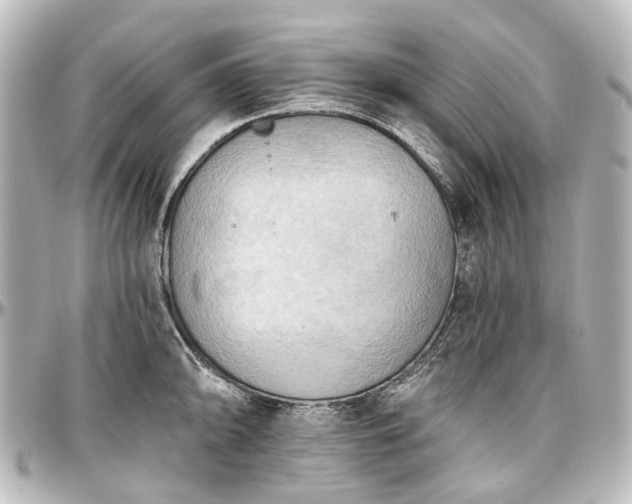 X0000097291094200802221306