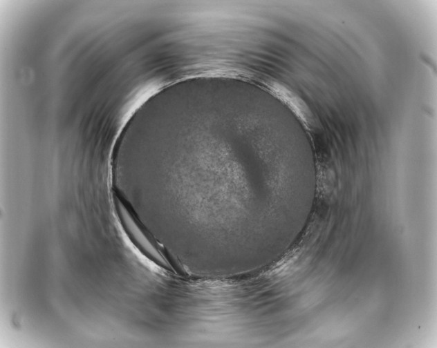 X0000097291095200802221306