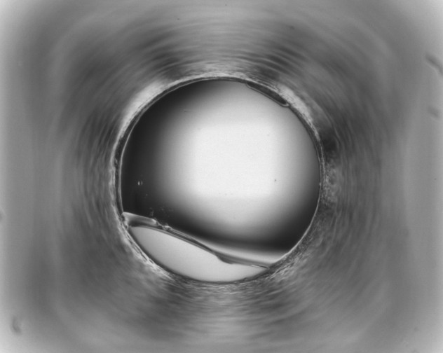 X0000097291096200802221306