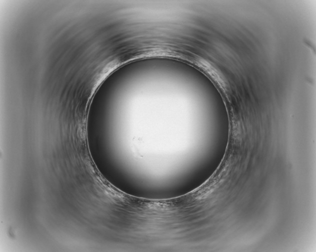 X0000097291097200802221306