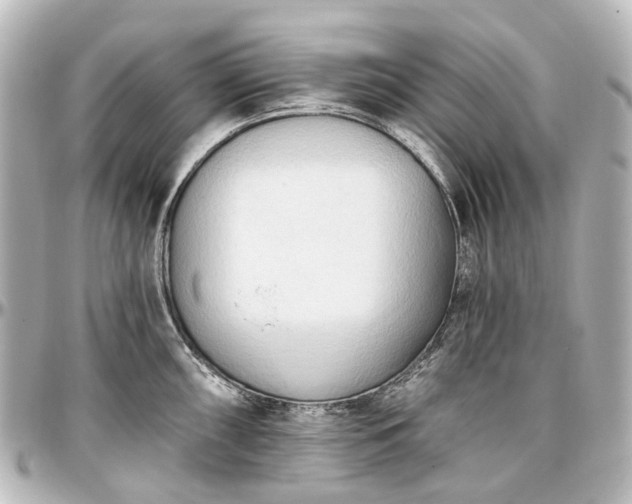 X0000097291098200802221306
