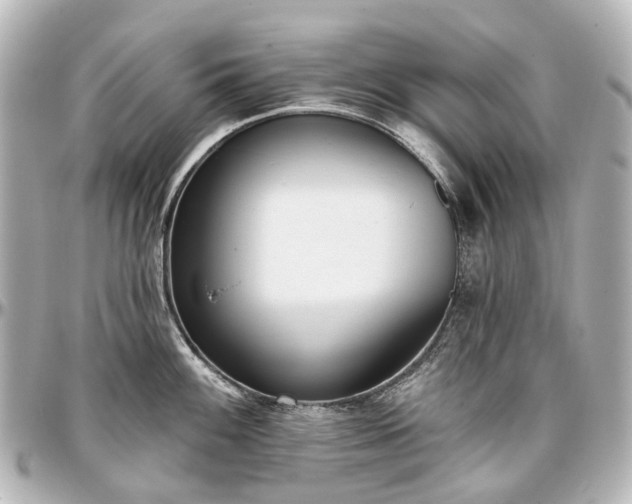 X0000097291100200802221306