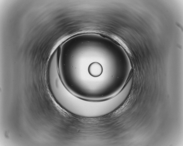 X0000097291101200802221306