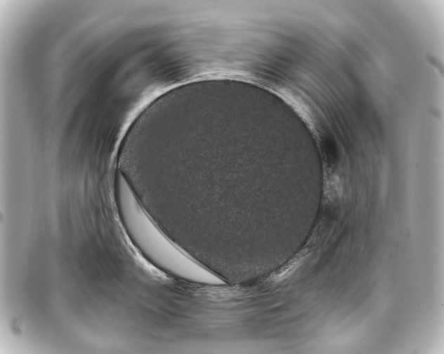 X0000097291102200802221306