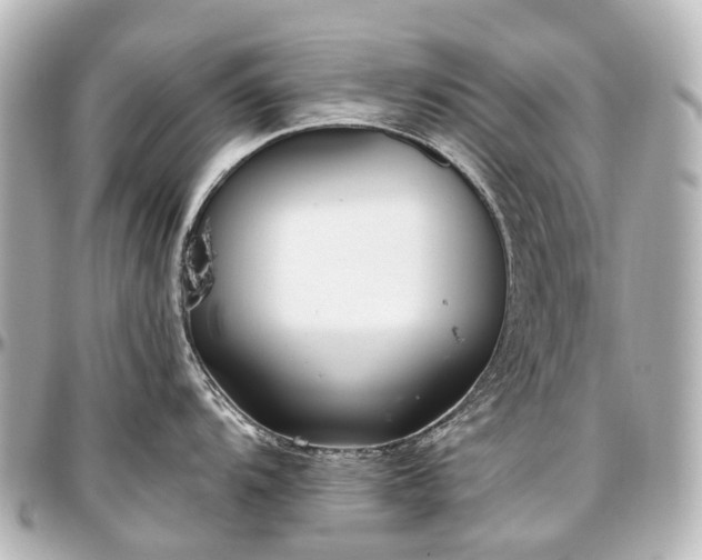 X0000097291104200802221306