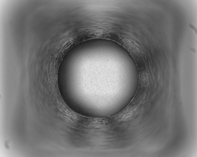 X0000097291105200802221305