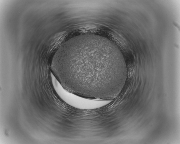 X0000097291108200802221306