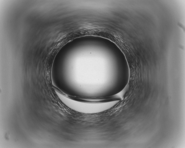 X0000097291109200802221306