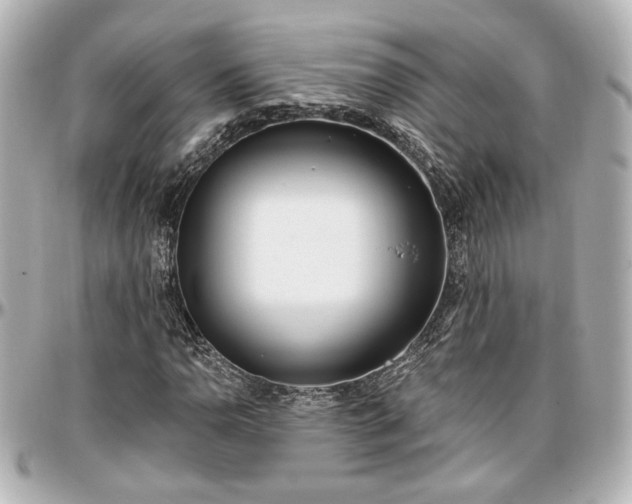 X0000097291110200802221306