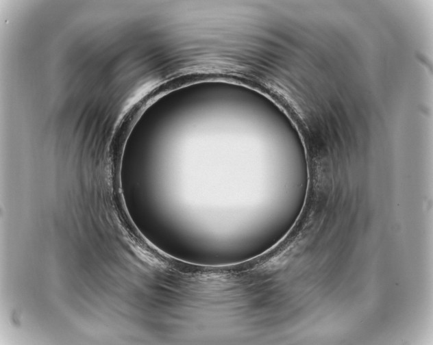 X0000097291114200802221306