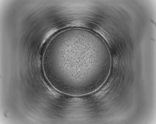X0000097291115200802221306
