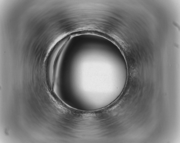 X0000097291118200802221306