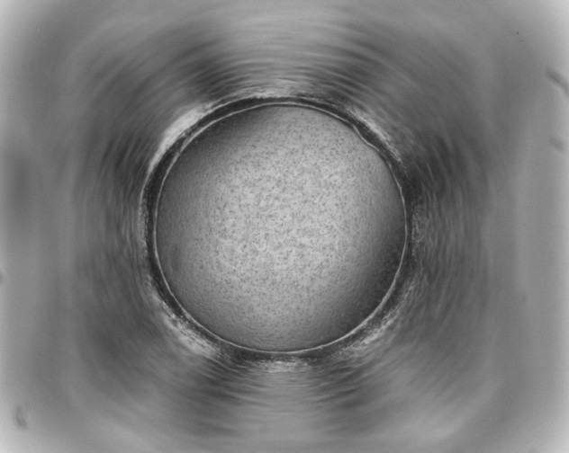 X0000097291122200802221306
