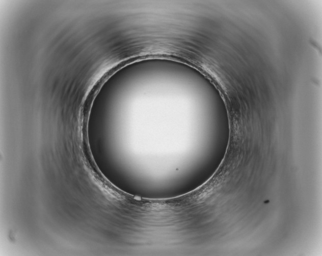 X0000097291124200802221306