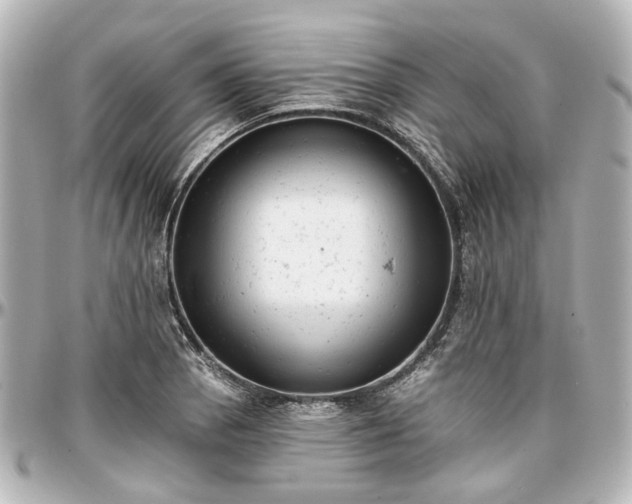 X0000097291129200802221306
