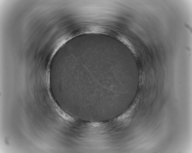 X0000097291130200802221306