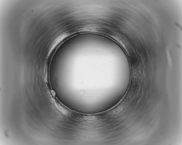 X0000097291131200802221306