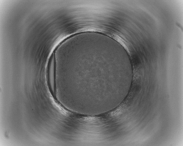 X0000097291132200802221306