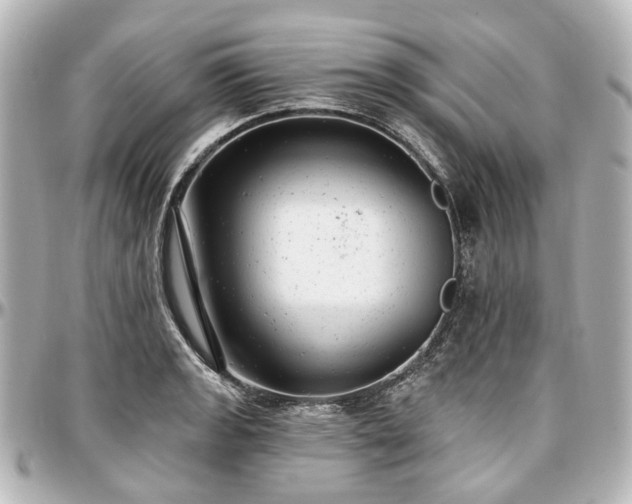 X0000097291133200802221306