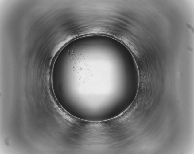 X0000097291134200802221306