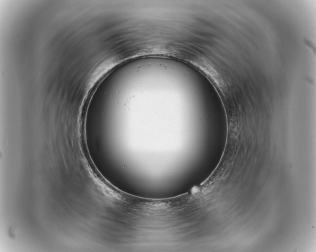 X0000097291135200802221306