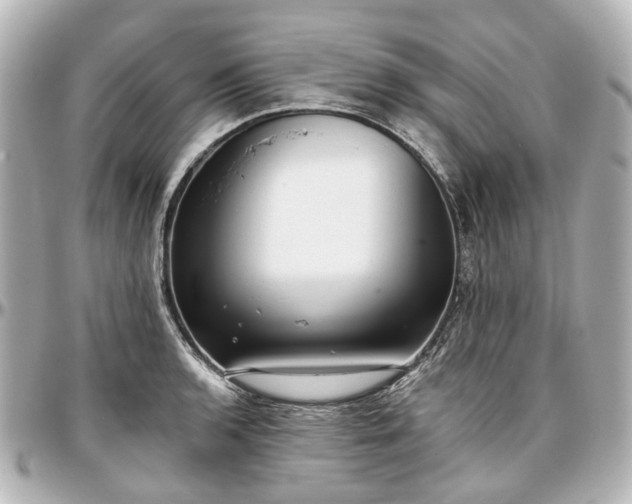 X0000097291136200802221306