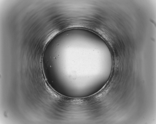 X0000097291137200802221306