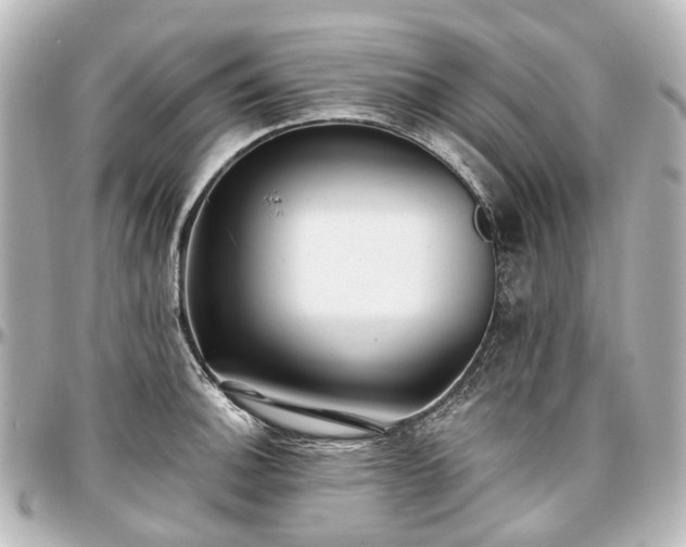 X0000097291140200802221306