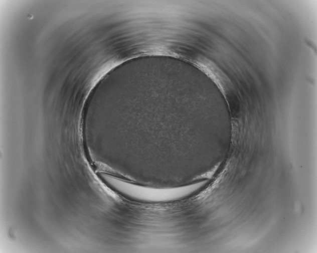 X0000097291141200802221306