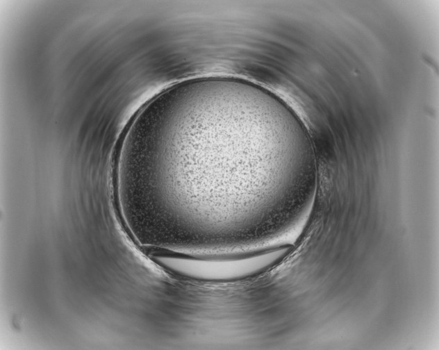 X0000097291142200802221306