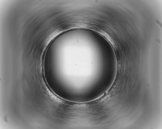 X0000097291143200802221306