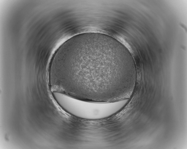 X0000097291144200802221306