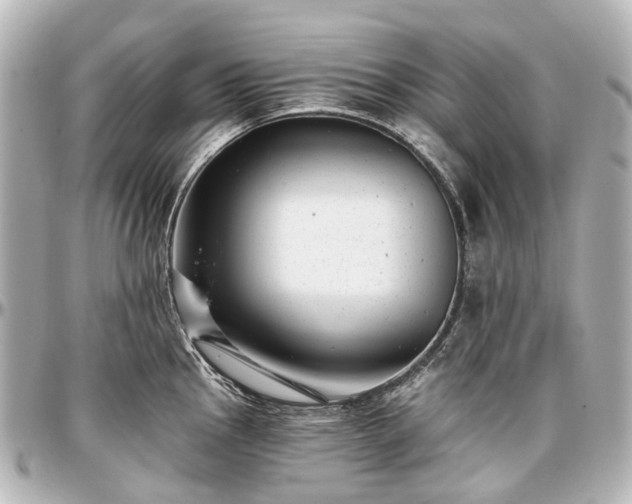 X0000097291145200802221306
