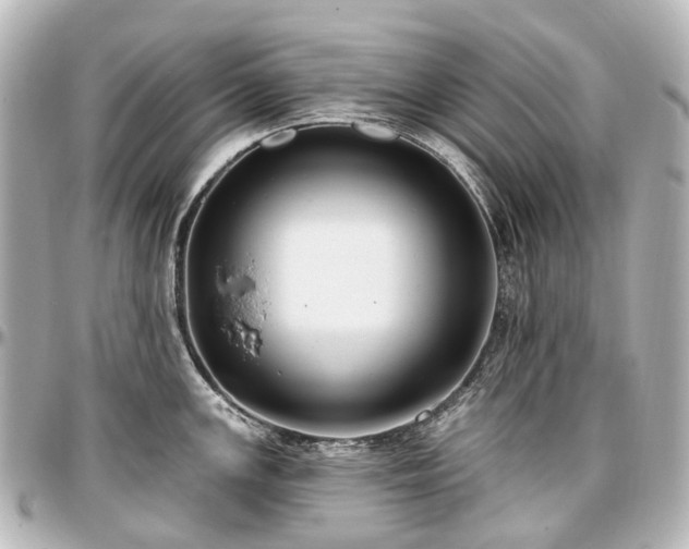 X0000097291147200802221306
