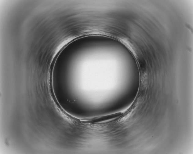 X0000097291149200802221306