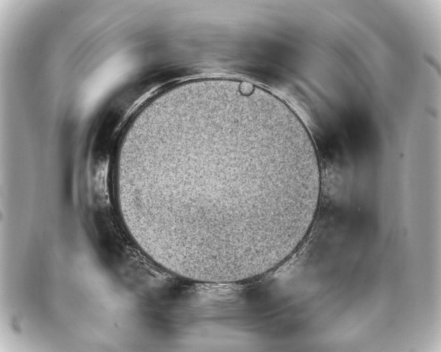 X0000097291150200802221306
